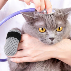 ROBOHOOK cat mittens provide furniture-scratch protection during active sessions.