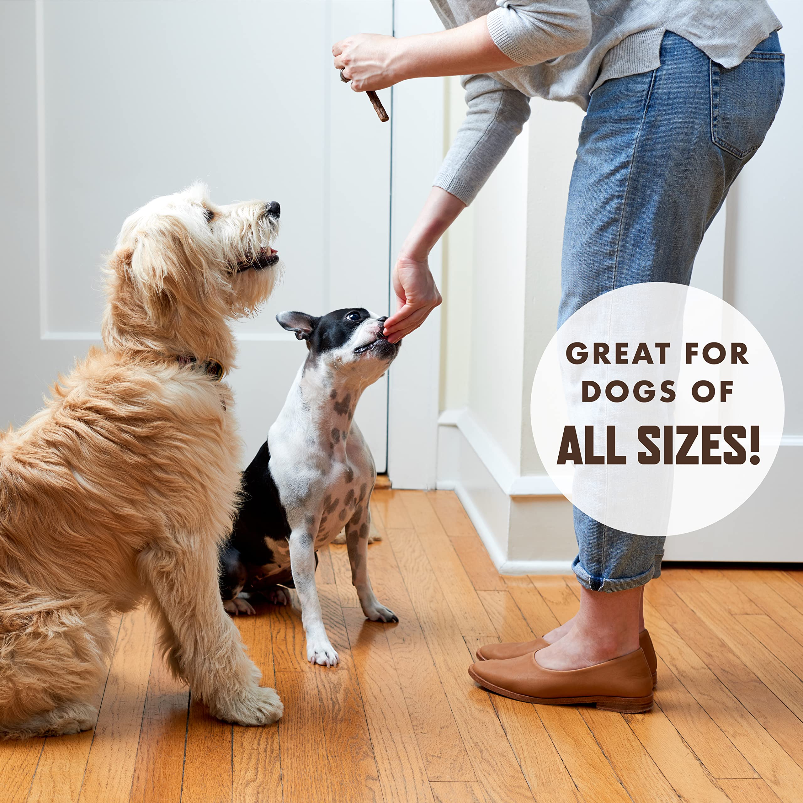 Rocco & Roxie high-value treats to boost training sessions