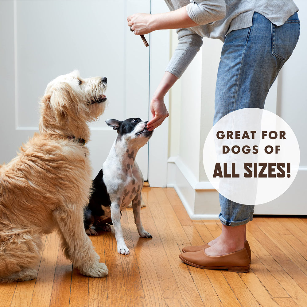 Rocco & Roxie high-value treats to boost training sessions