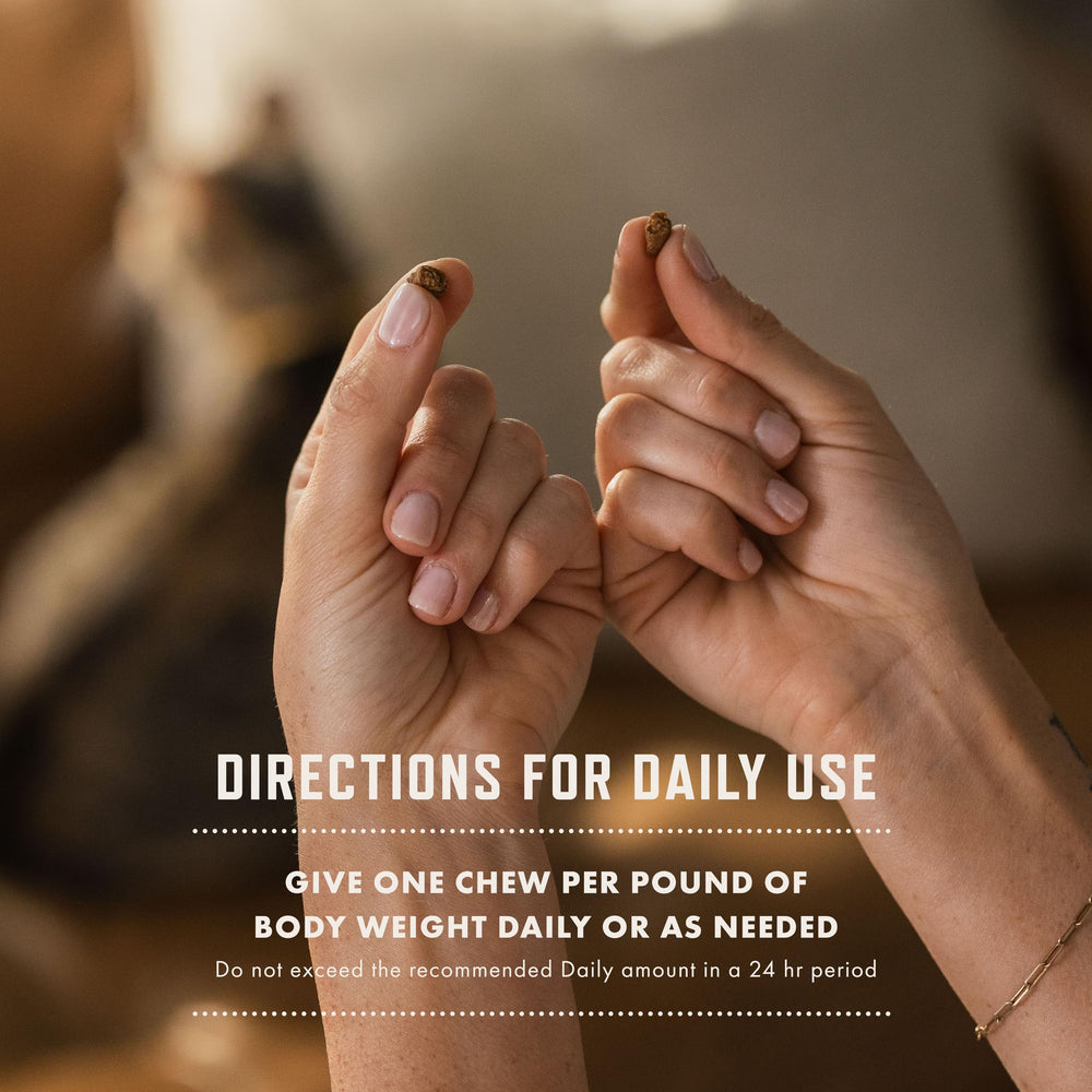 Rocco & Roxie cat calming treats stress scenarios, product shown in a stressful home environment.