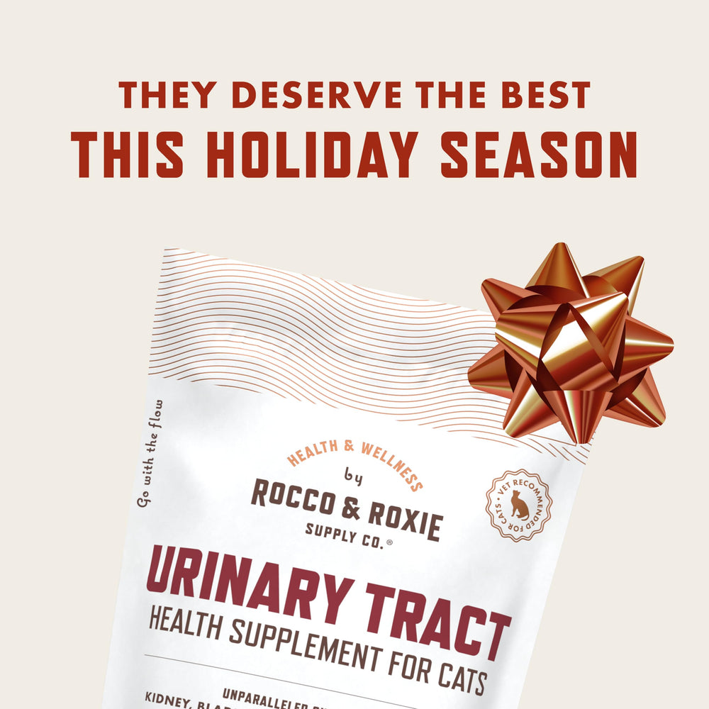Rocco & Roxie cat urinary chews chicken flavor closeup for tasty daily bladder support