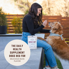 Rocco & Roxie cranberry, D-mannose, tart cherry ingredients emphasize antioxidant support and urinary tract care.