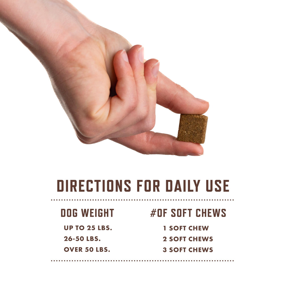 Rocco & Roxie daily-use chews shown with happy dog to suggest easy routine.