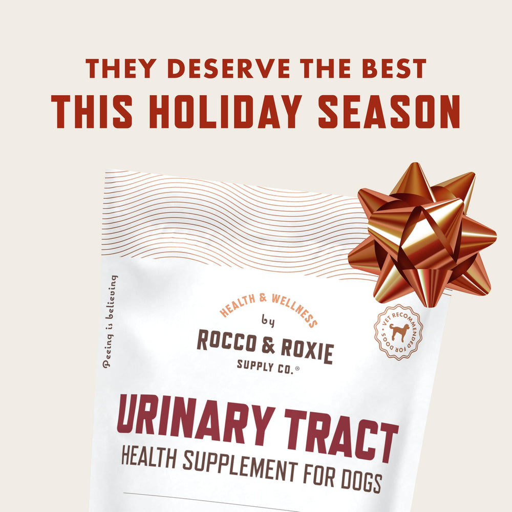 Rocco & Roxie duck-flavored soft chews close-up highlight palatable texture for daily urinary health.