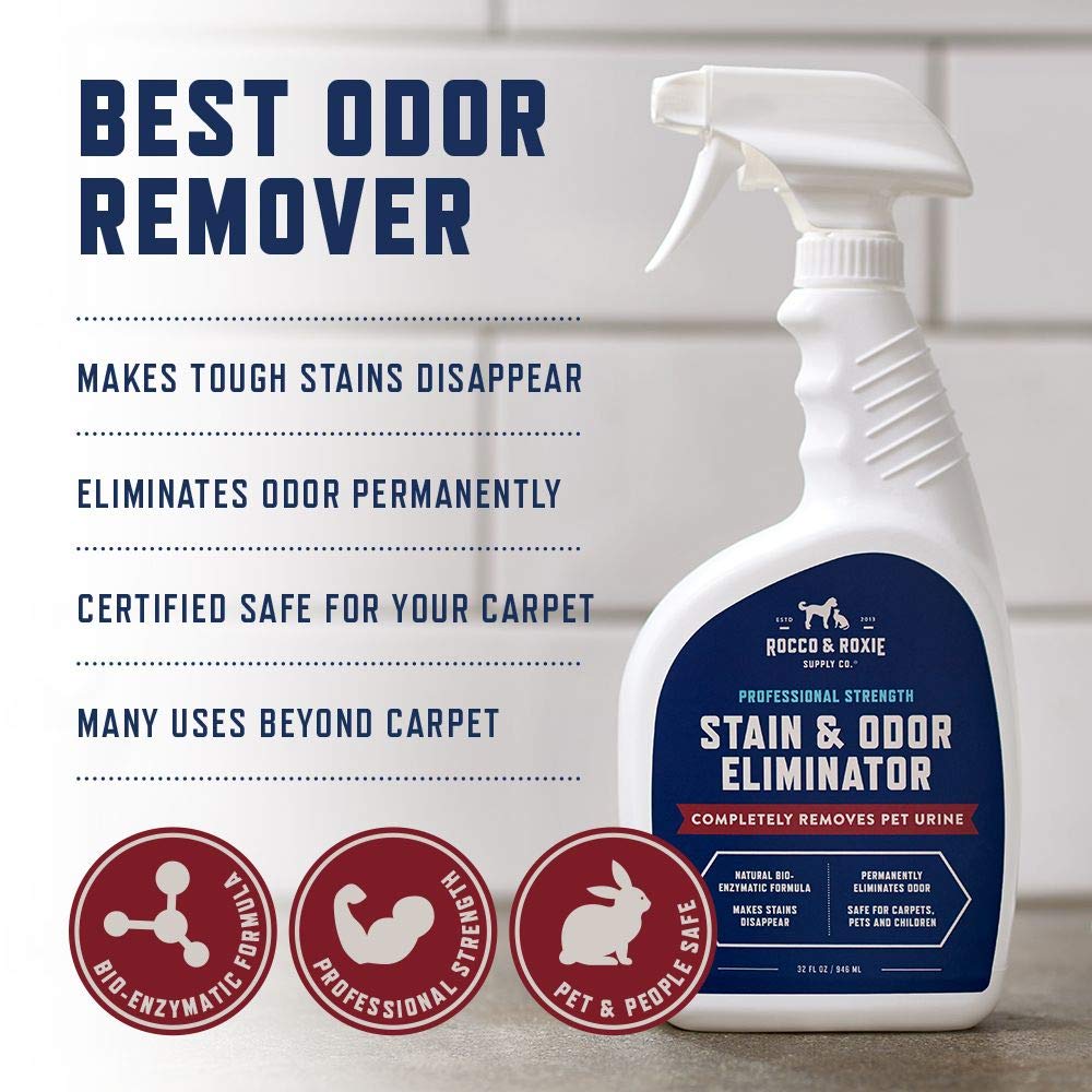 Rocco & Roxie enzyme cleaner in action on carpet to remove odors.