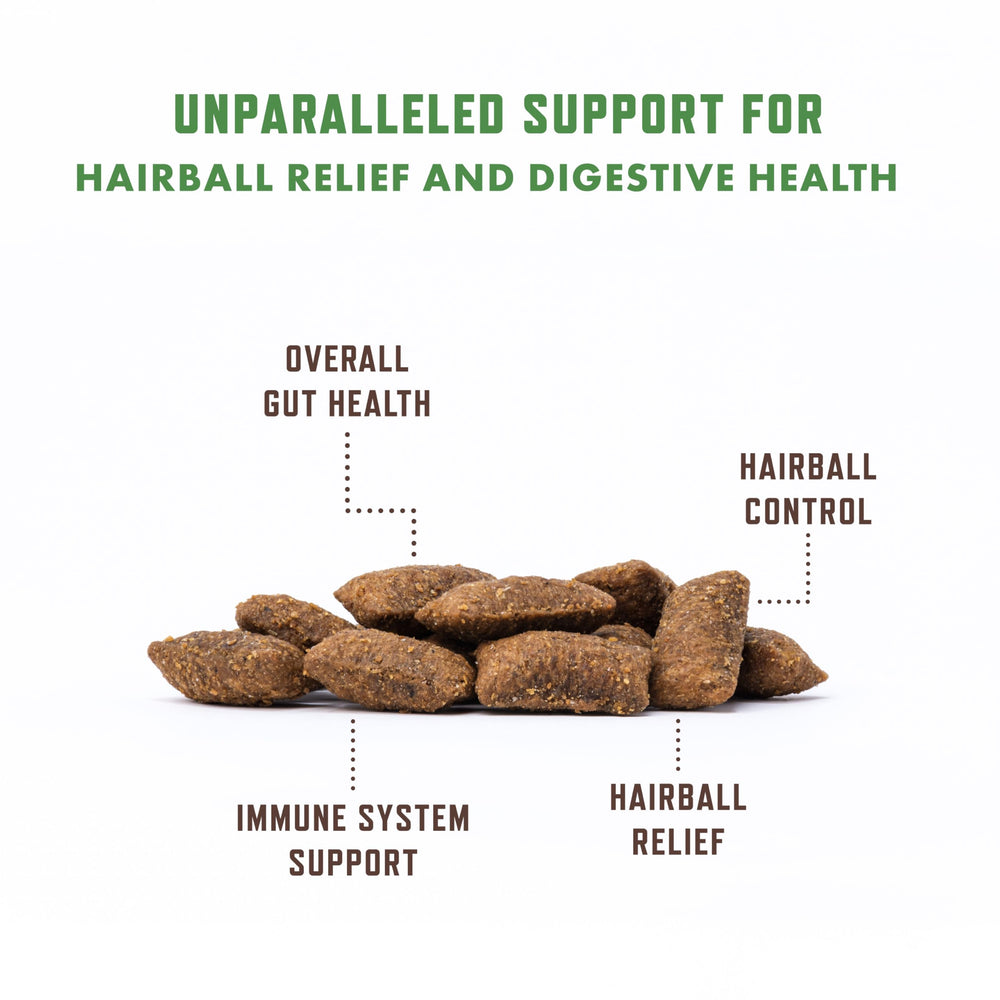 Rocco & Roxie Hairball Treat crunchy texture visible suggests easy chewing