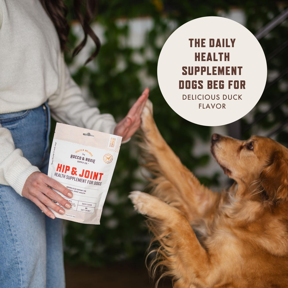 Rocco & Roxie Joint Supplement ingredients chart highlights glucosamine, chondroitin, MSM.