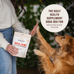 Rocco & Roxie Joint Supplement ingredients chart highlights glucosamine, chondroitin, MSM.