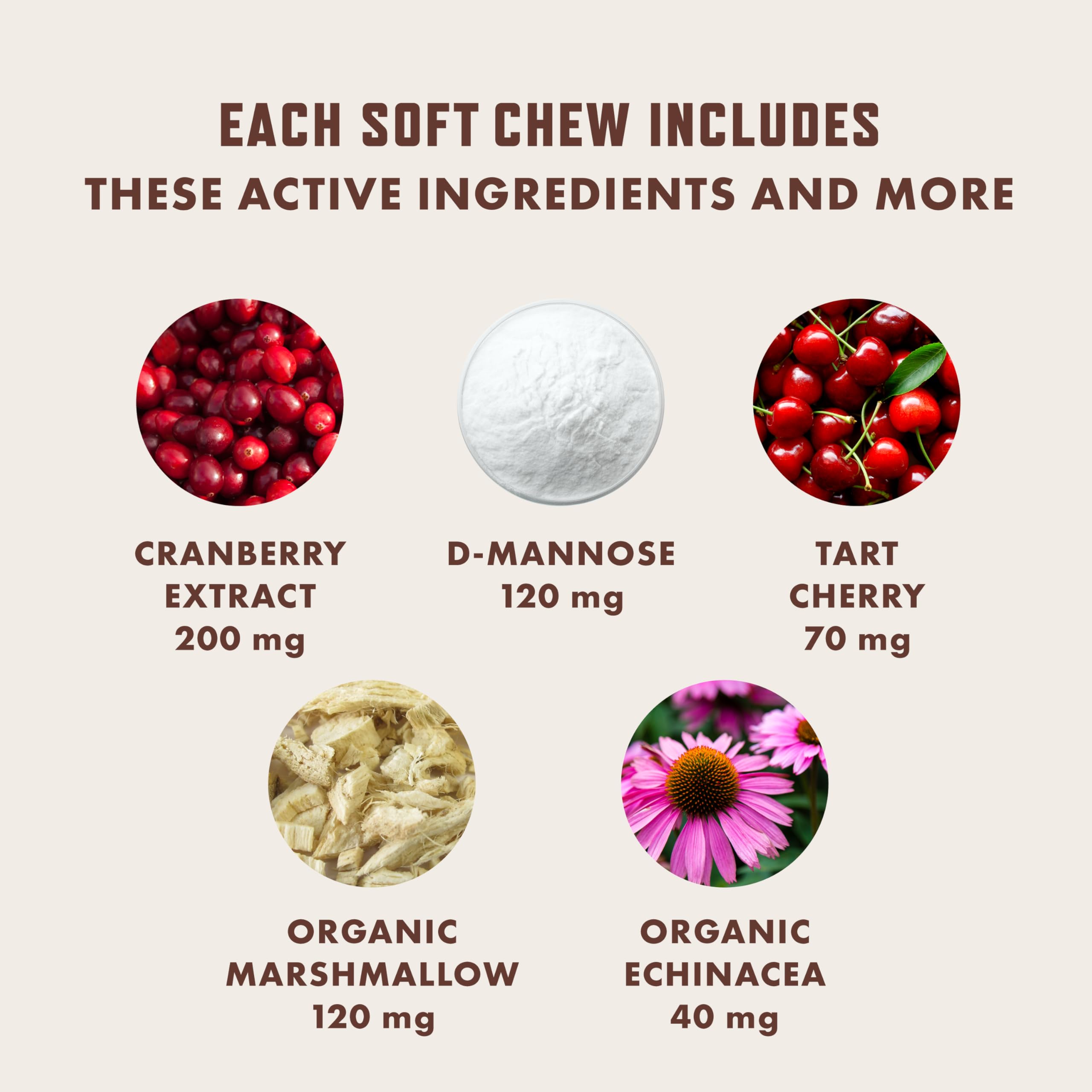 Rocco & Roxie made in USA seal with cold-form processing preserves ingredient integrity.