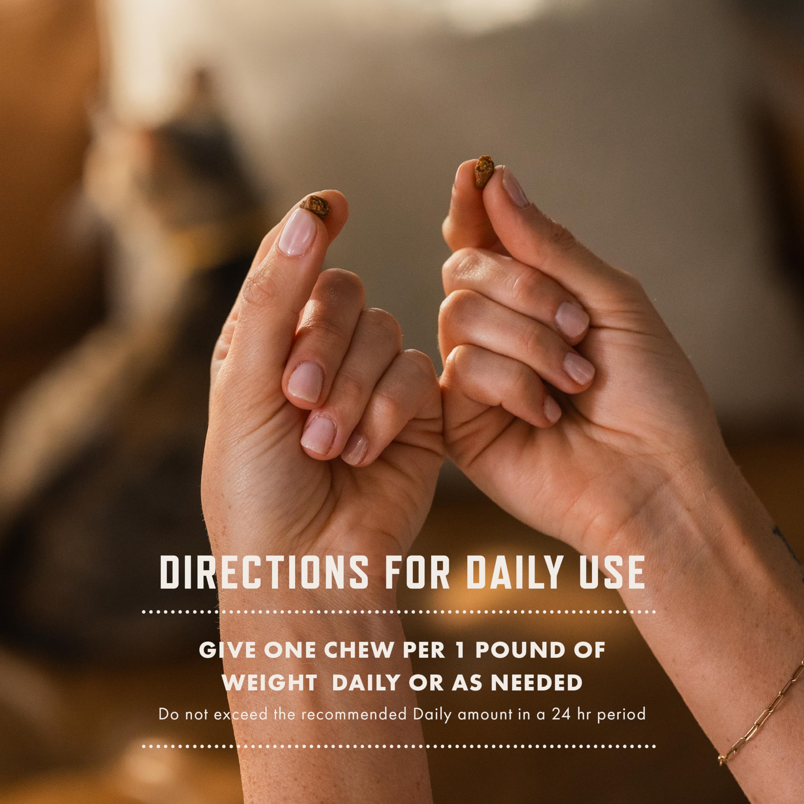 Rocco & Roxie USA made seal emphasizes quality and domestic sourcing