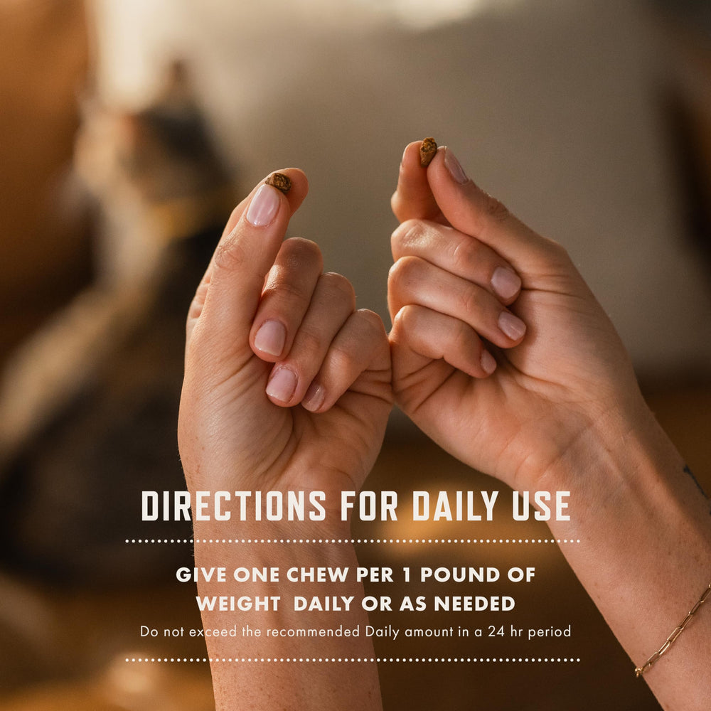 Rocco & Roxie USA made seal emphasizes quality and domestic sourcing