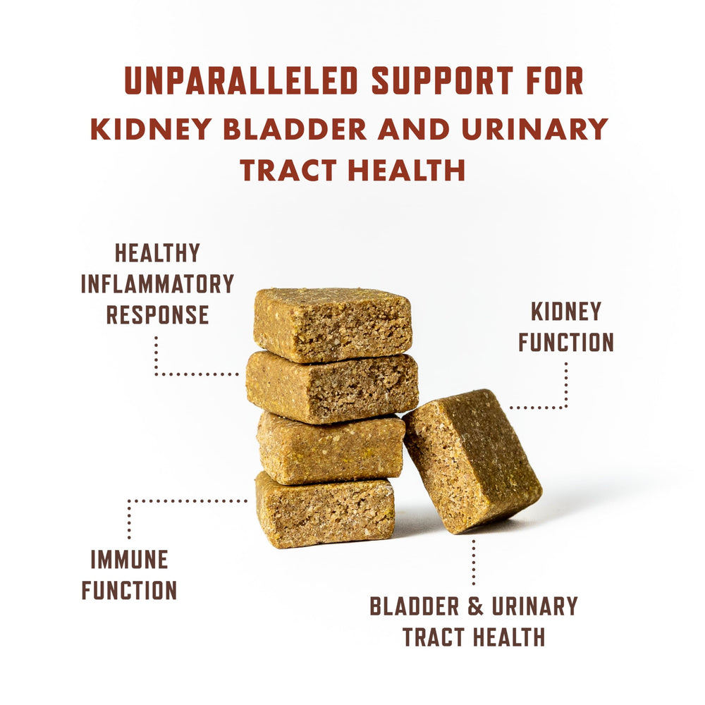 Rocco & Roxie vet-recommended badge on label signals trusted daily urinary health support.