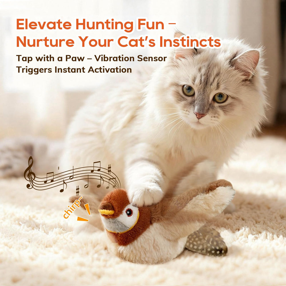 Rocfish indoor playtime bird toy helps indoor cats exercise.