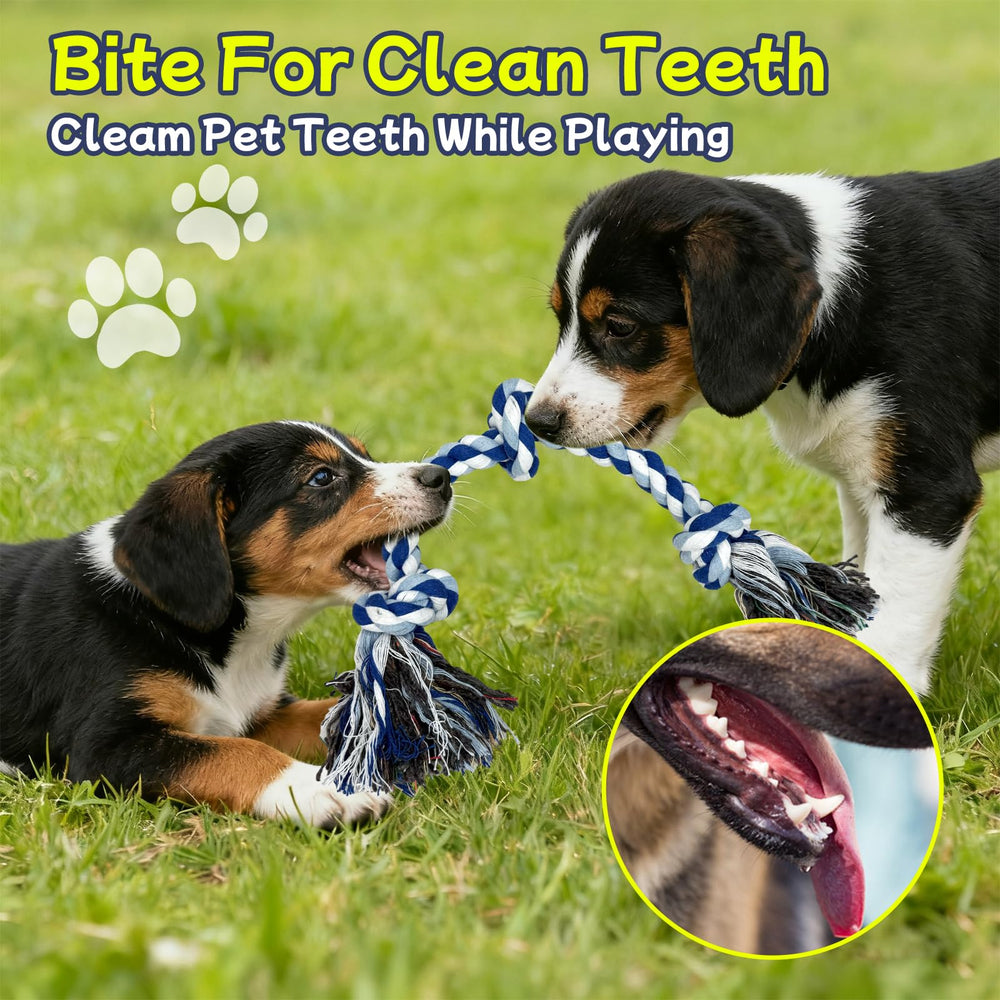 Rocfish 3-pack dog toys promote interactive play and exercise