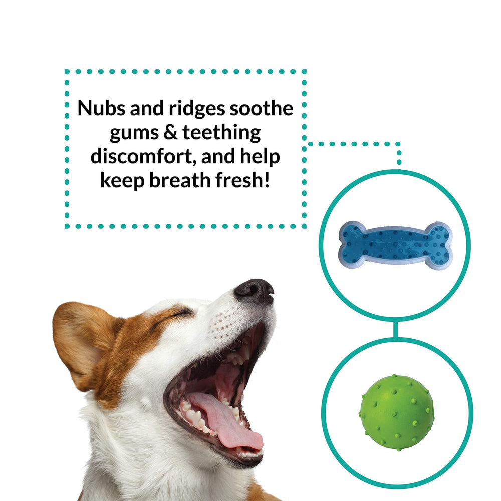 rocket & rex durable bite-resistant design image suggests long-lasting puppy toys