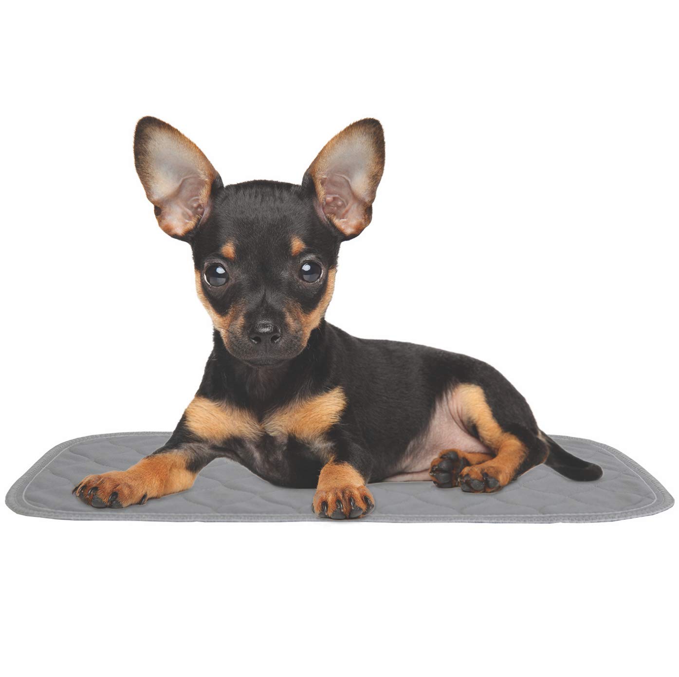 Rocket & Rex Premium Washable Pet Carrier Pads being machine washed for reuse