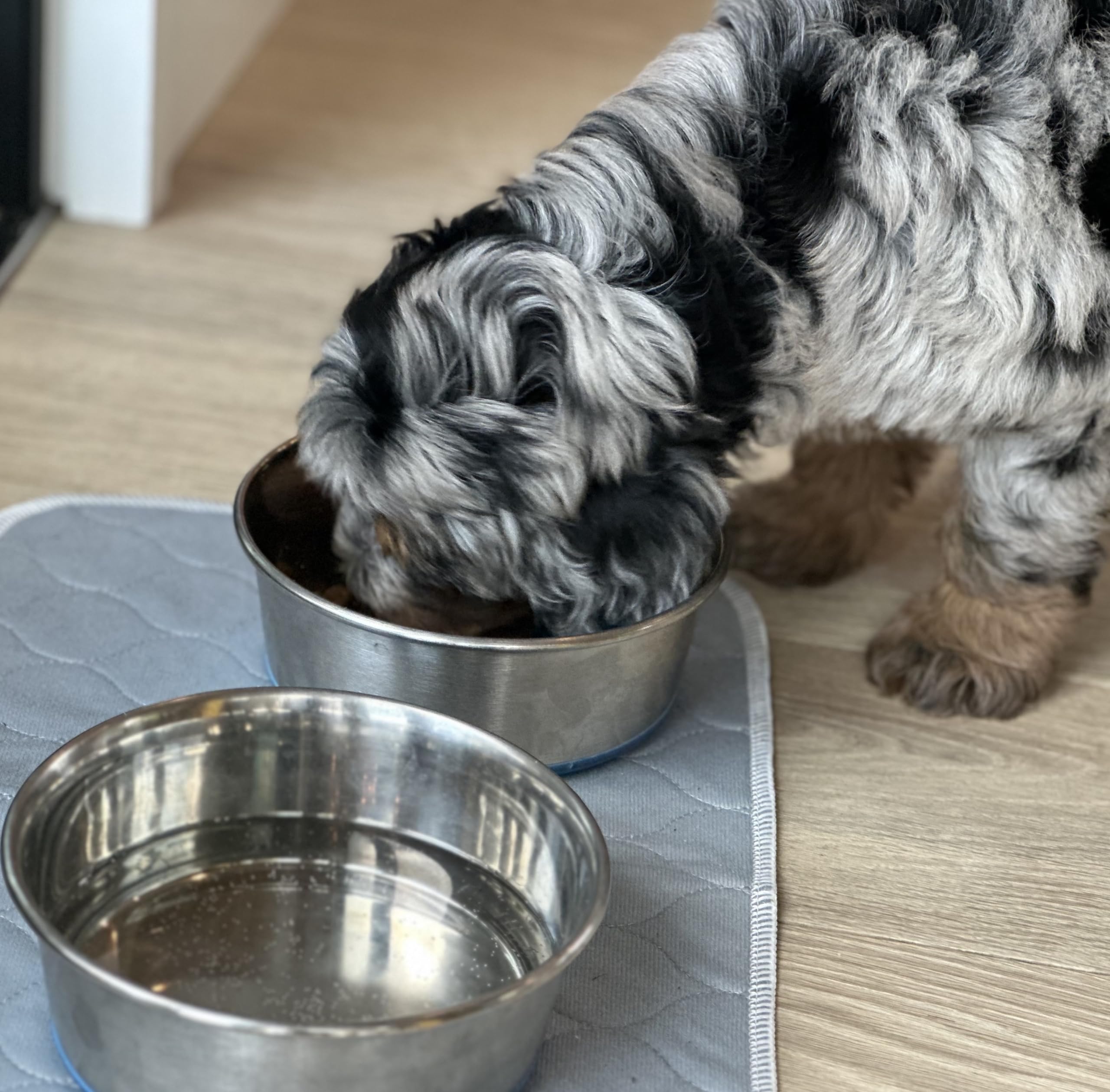 Rocket & Rex Premium Washable Pet Carrier Pads with waterproof backing for spill protection