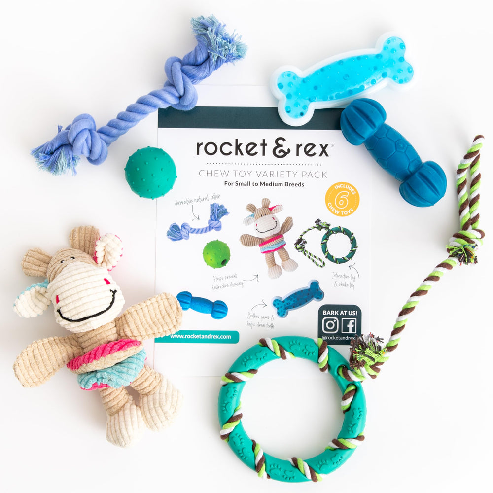 rocket & rex small-breed toy set rubber toys closeup safe chew for teething