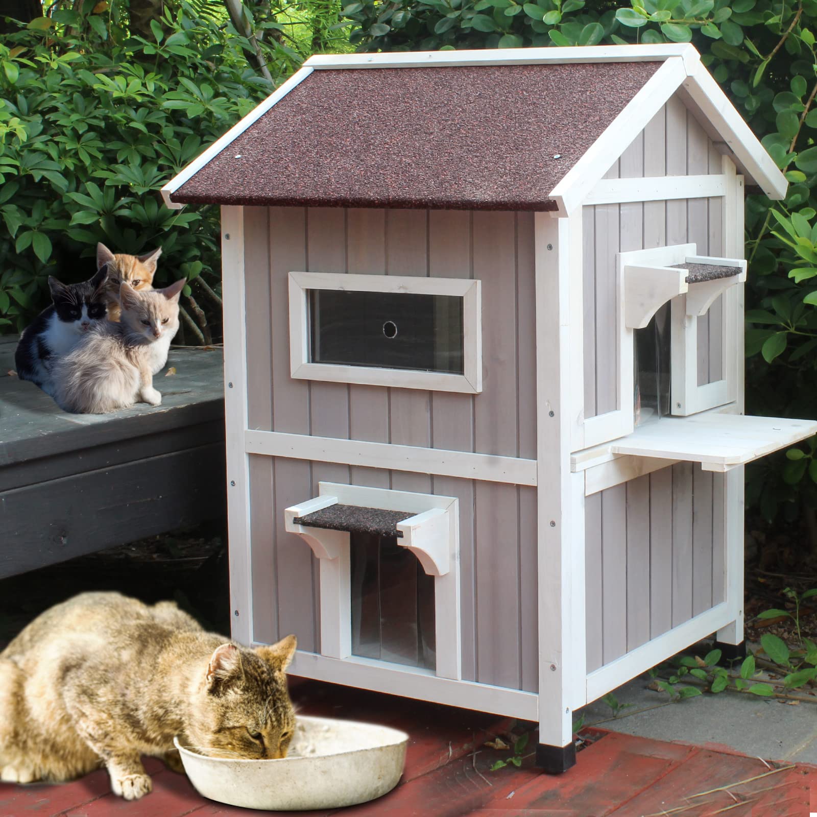 Rockever Outdoor Cat House dimensions show its 36.2 by 24.4 by 20.8 inches size
