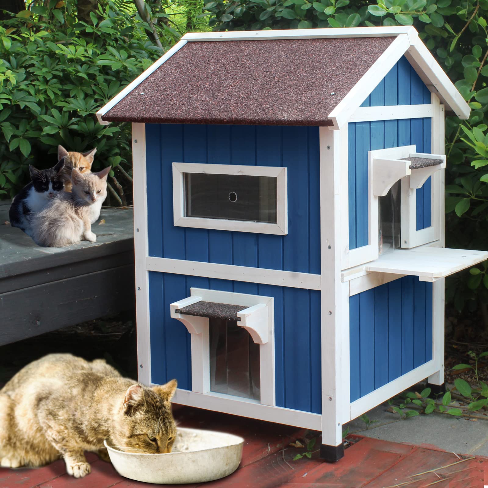 Rockever weatherproof cat shelter features asphalt roof and PVC curtain for rain protection