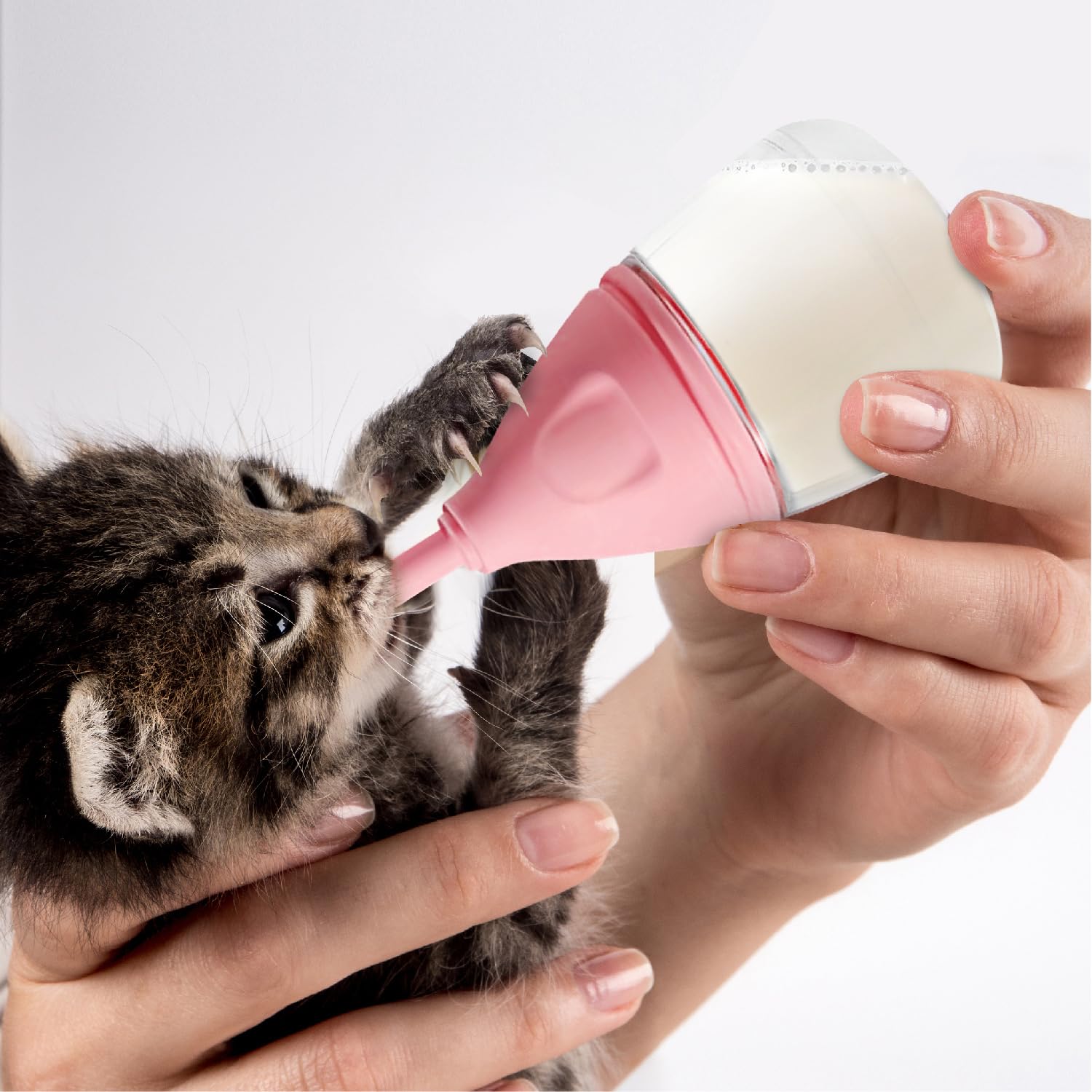 RockTech flow-control bottle demonstrates precise milk flow for calmer feeds.