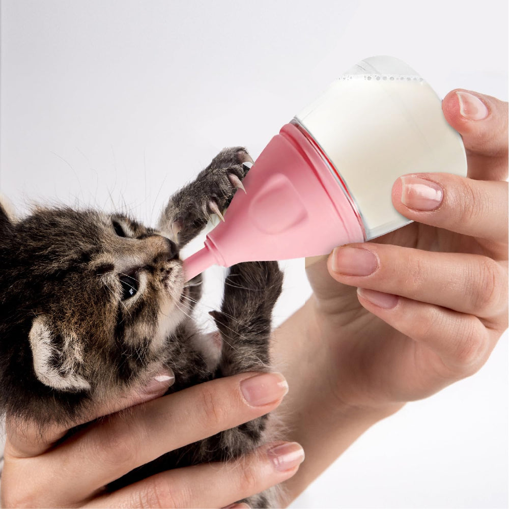 RockTech flow-control bottle demonstrates precise milk flow for calmer feeds.