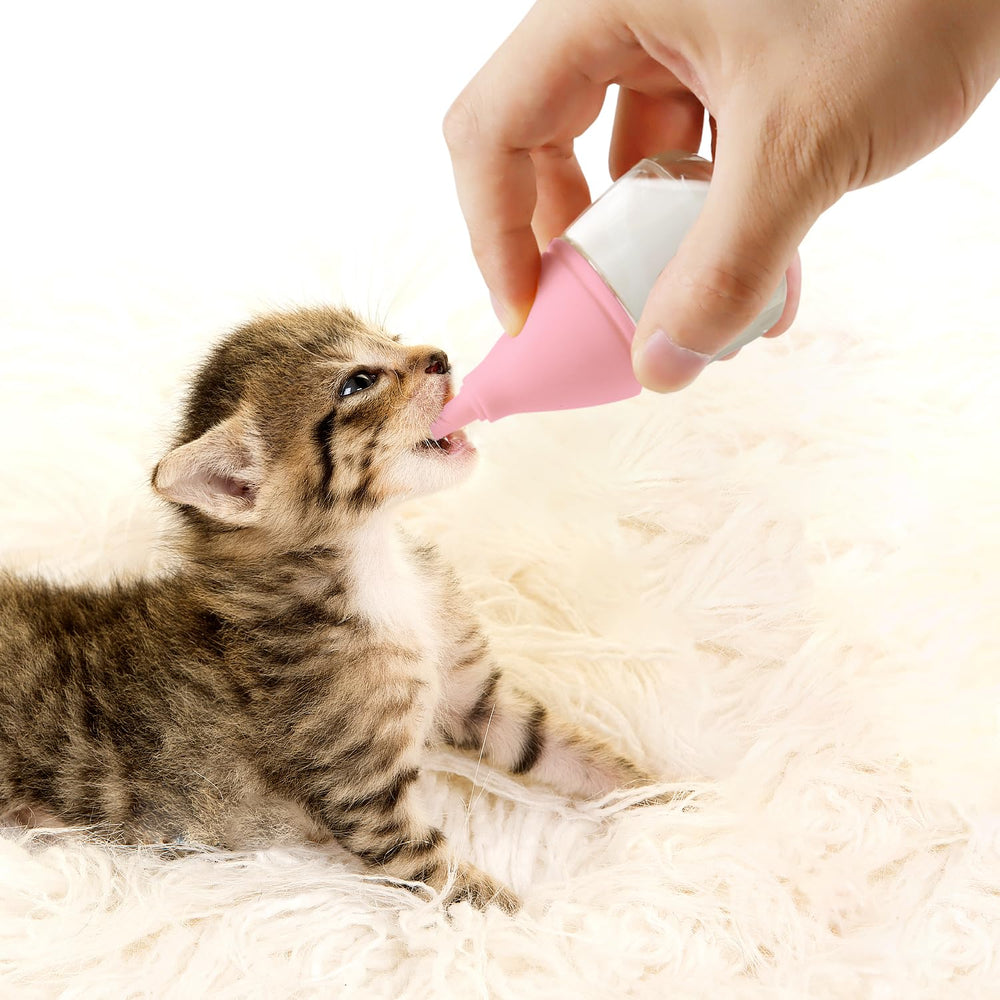RockTech kitten feeding kit pink is portable for home or clinic.