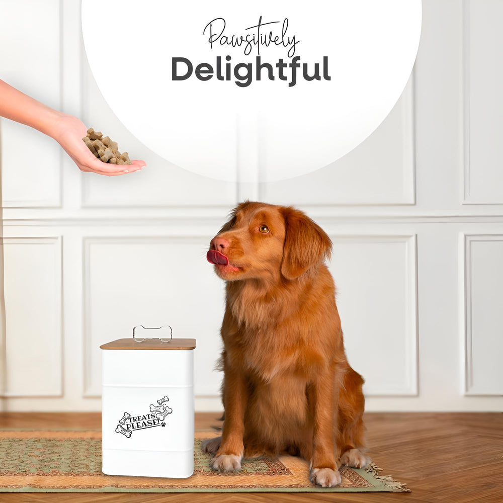 Rockyhaus galvanized metal body combines durability with rustic charm