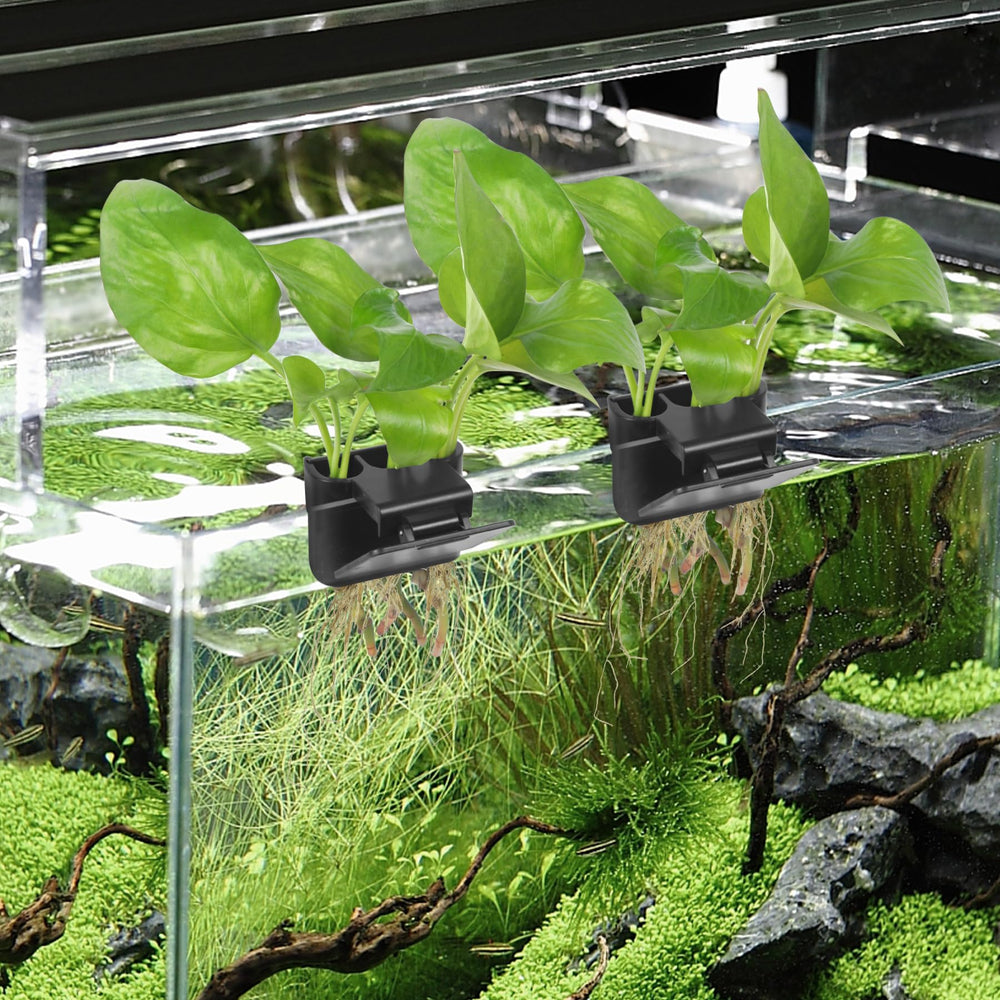 Roetelo plant cup doubles as decorative aquarium accent in home tanks