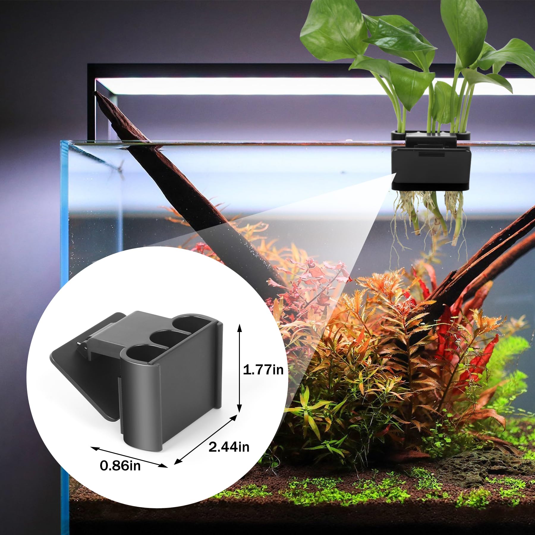 Roetelo three-hole design supports pothos and daffodils in tanks
