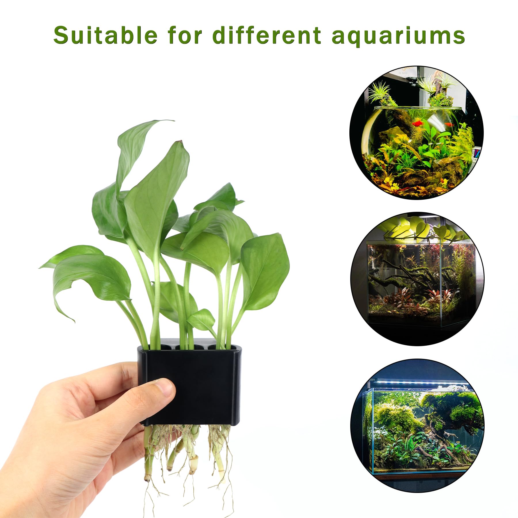 Roetelo plant cup with removable baffle for easy plant swaps