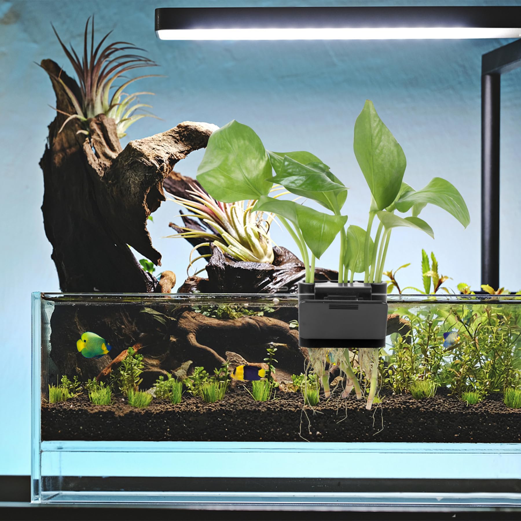 Roetelo dual-pack offers convenient plant cultivation across multiple tanks