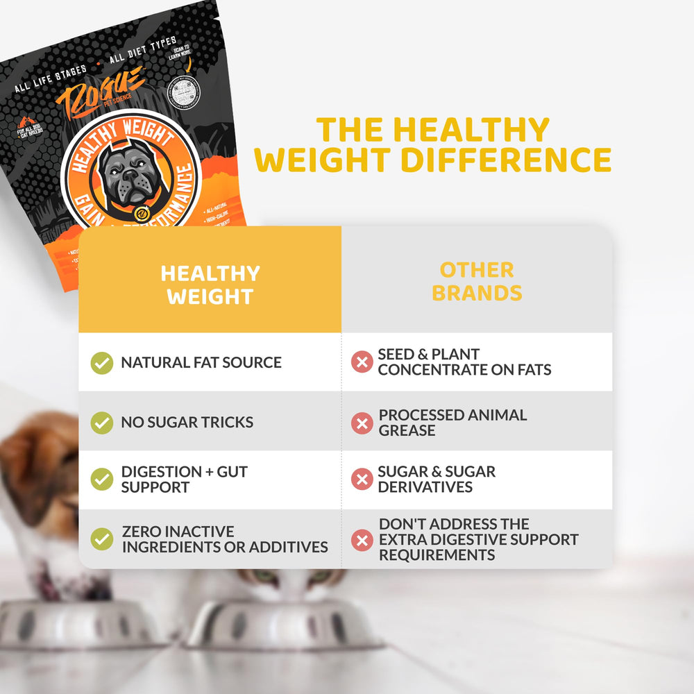 Rogue Pet Science Healthy Weight cat meal mix in a bowl