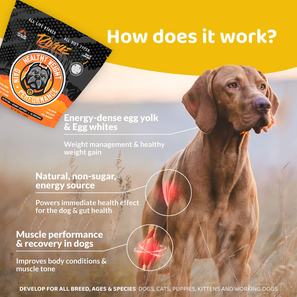 Rogue Pet Science Healthy Weight ingredients closeup highlighting eggs and sweet potato