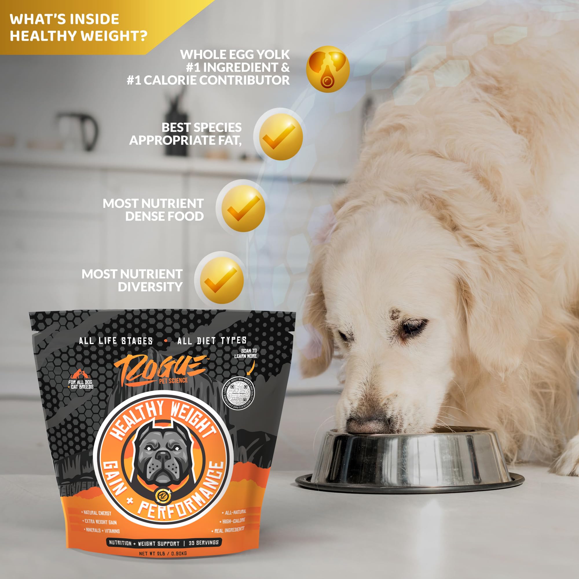 Rogue Pet Science Healthy Weight probiotics closeup highlighting digestive enzymes