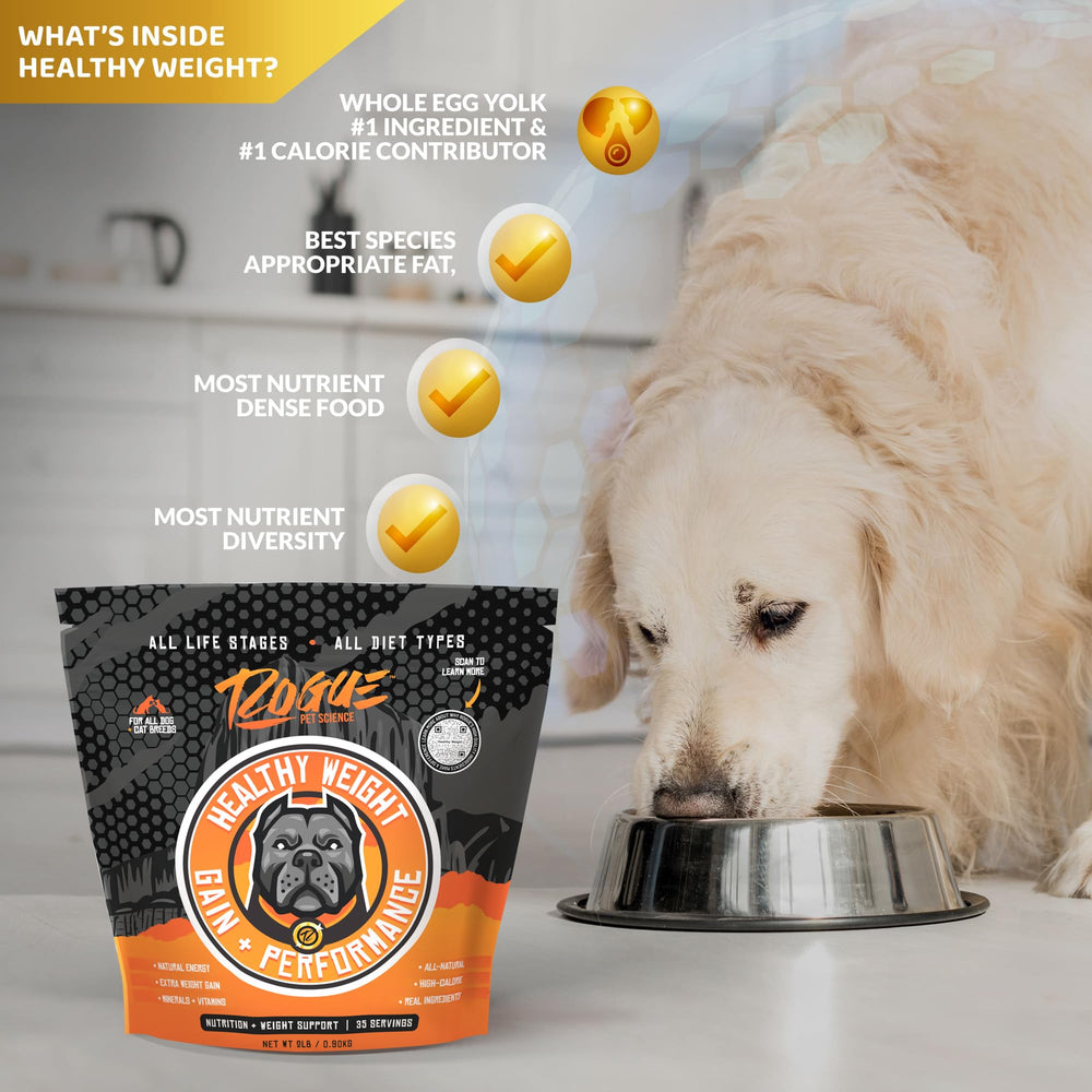 Rogue Pet Science Healthy Weight probiotics closeup highlighting digestive enzymes