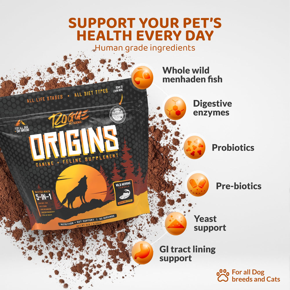 Origins powder being stirred into dog food at mealtime for easy daily supplementation.