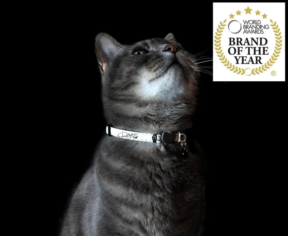 Rogz GlowCat collar fits 8-12 inch necks with full adjustability