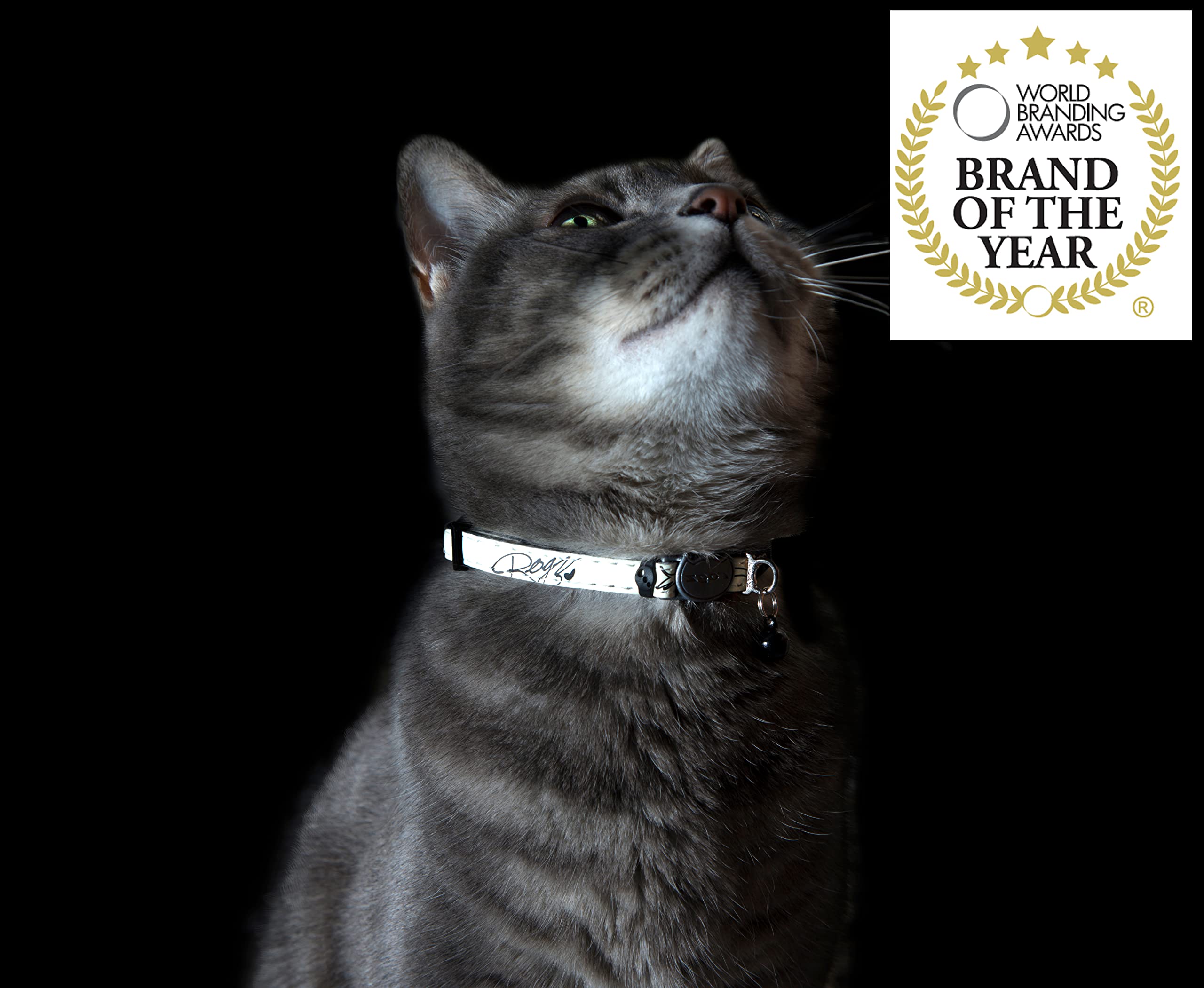 Rogz Glow Cat Collar night visibility with glow and reflectivity