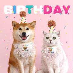 ROHOME cat accessory set wedding and birthday ready for adorable pet portraits.