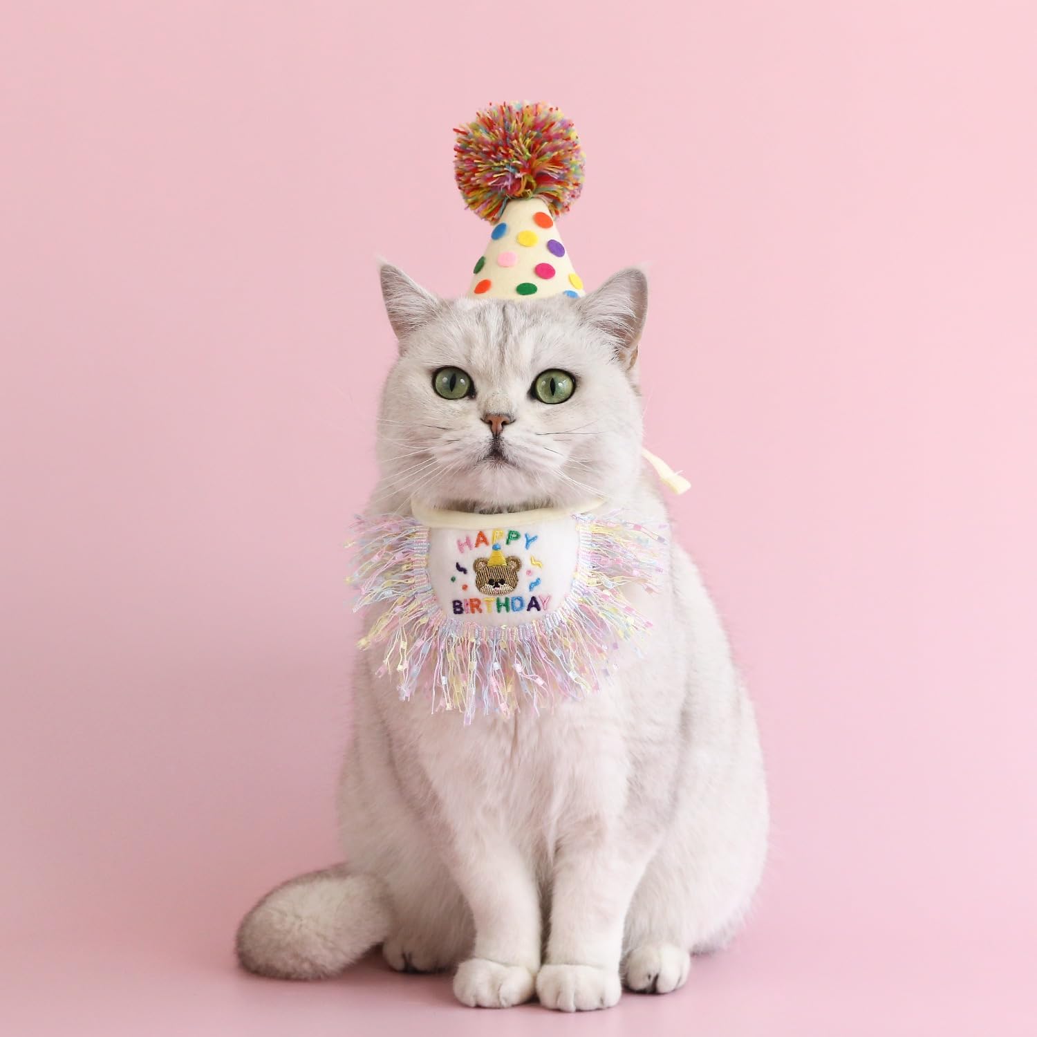 ROHOME cat party decor shot demonstrates ready-to-celebrate look.