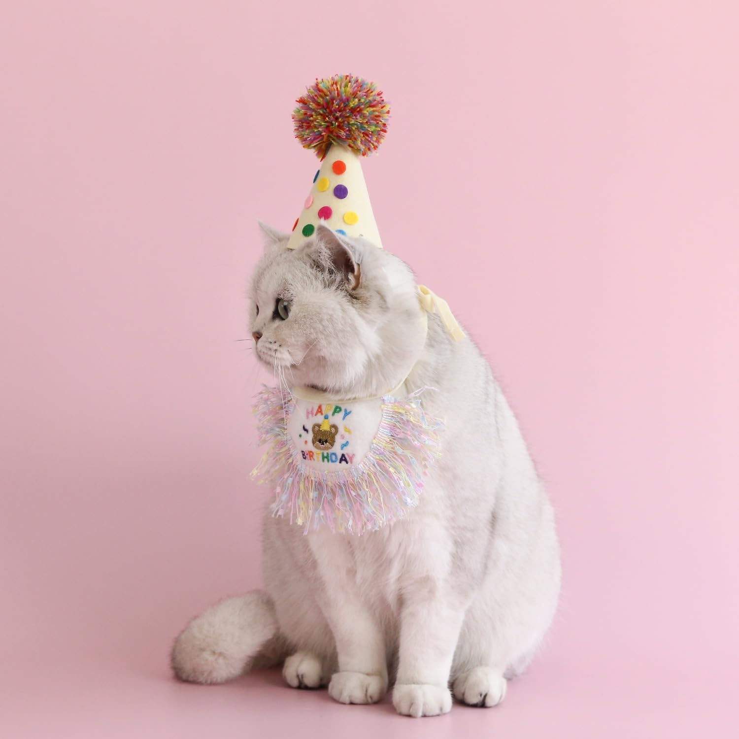 ROHOME cat tassels fashion detail captures playful, festive flair.