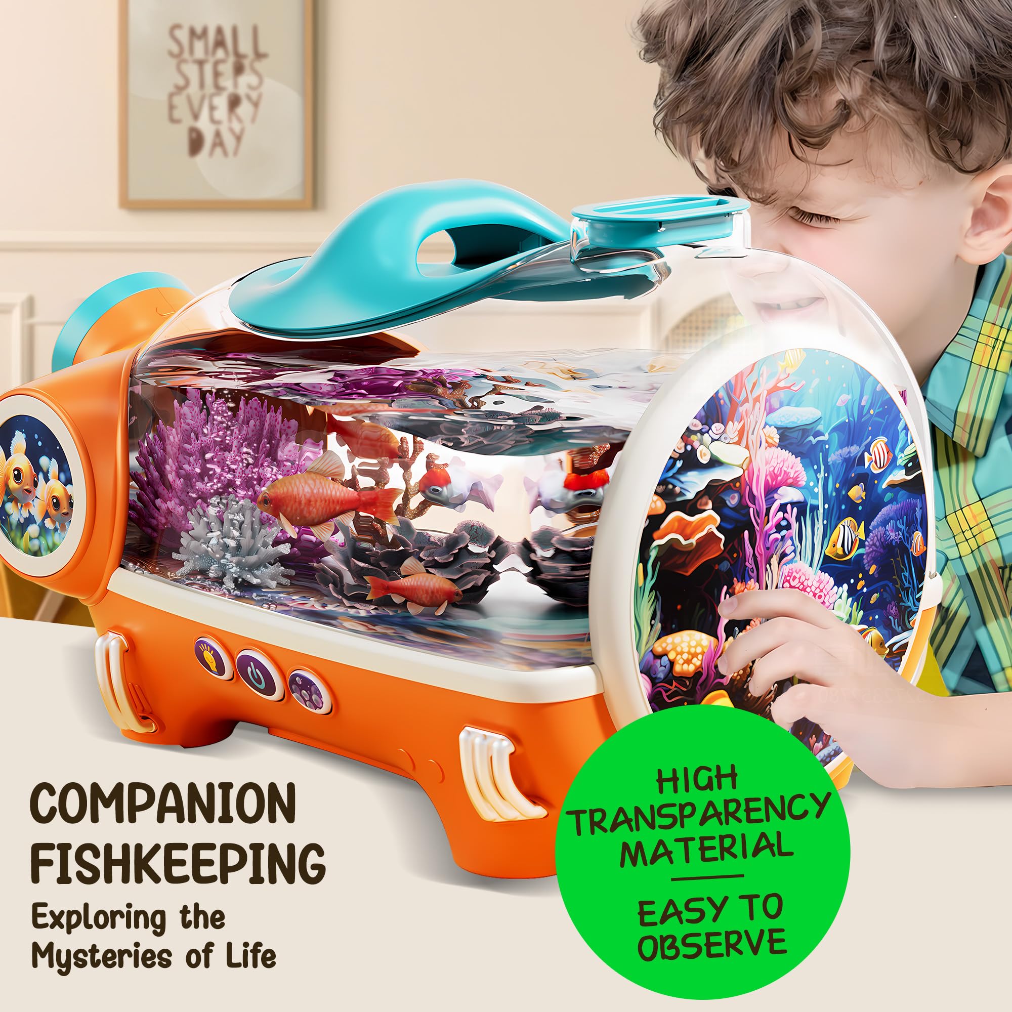 ROHSCE educational décor combo blends learning with calming visuals
