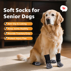Roilpet senior-dog-friendly socks showcasing comfort for older dogs.