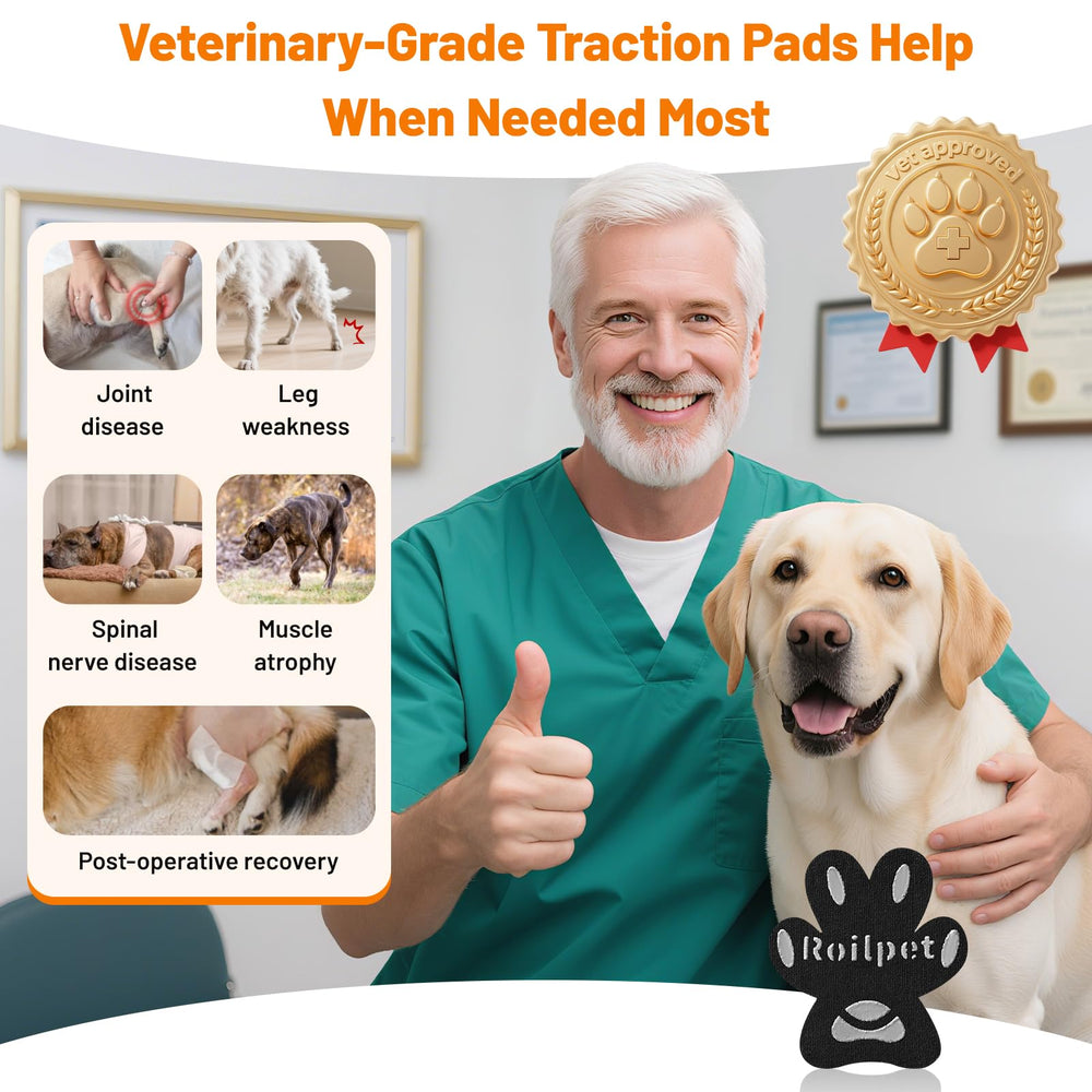 Roilpet soft breathable paw pad texture for comfortable daily wear.