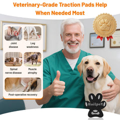 Roilpet soft breathable paw pad texture for comfortable daily wear.