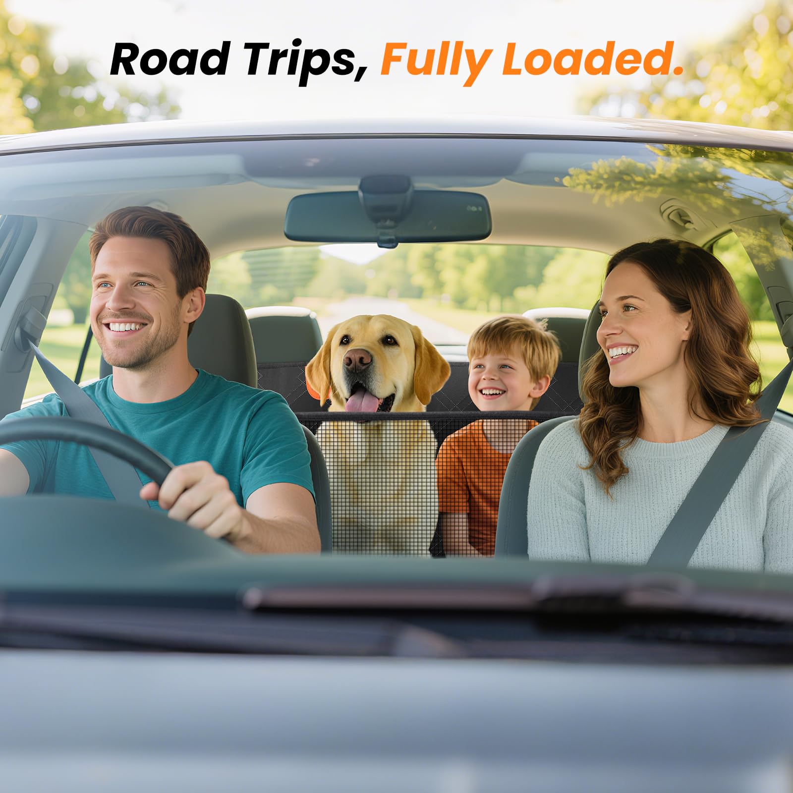 Roilpet-storage-carrying-bag provides convenient storage for travel gear.