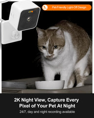 Rolimate pet camera night vision reveals nighttime cat activity with clear detail