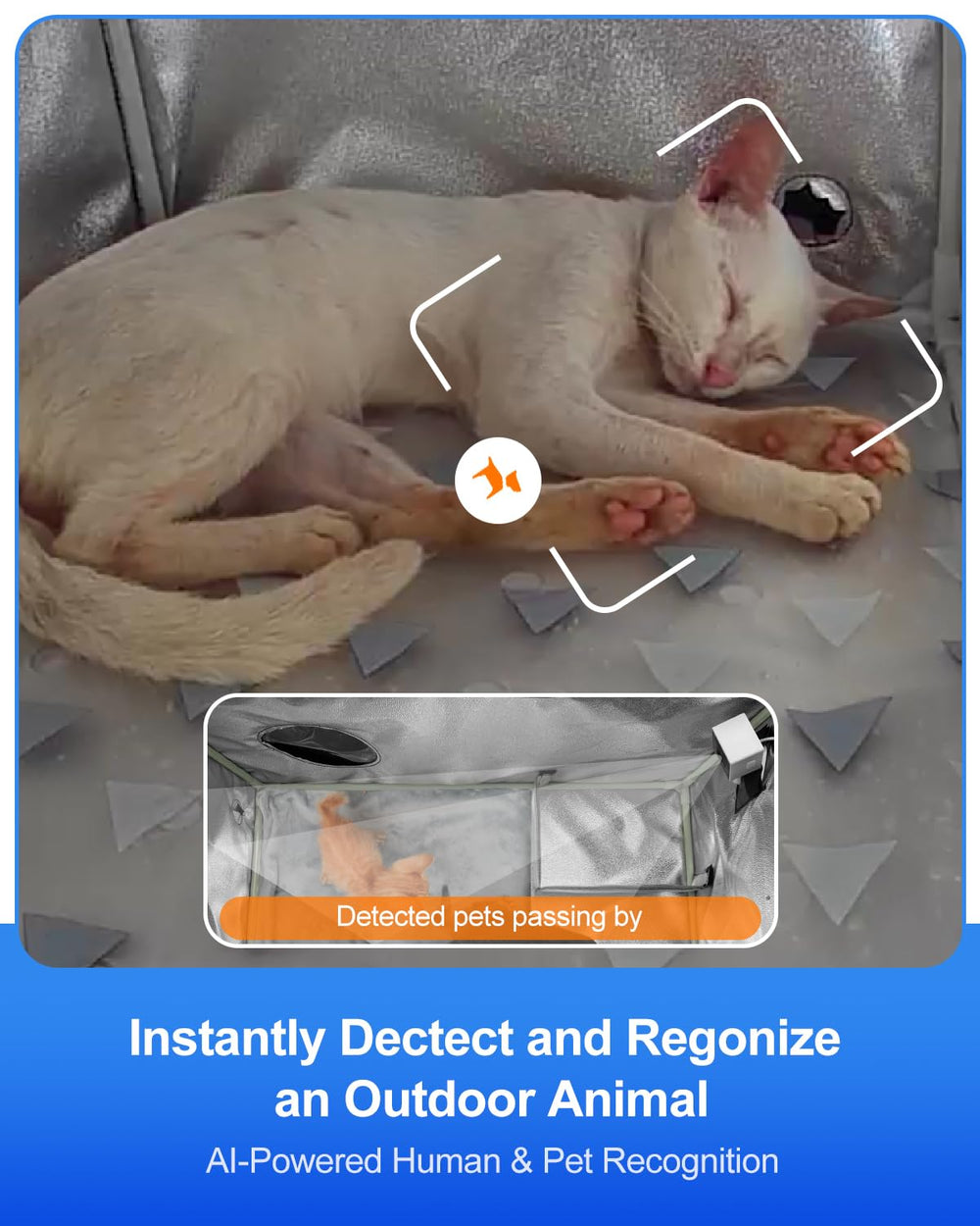 Rolimate two-way audio lets you talk to your cat remotely