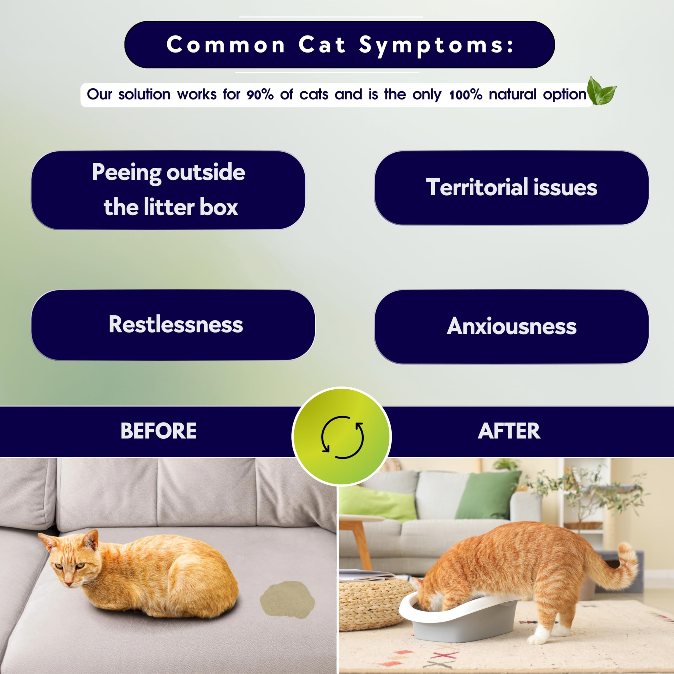 Rollerpawster soft collar materials highlighting gentle wear for cats